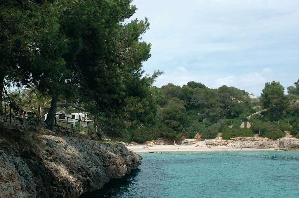 Barcel Ponent Playa Hotel