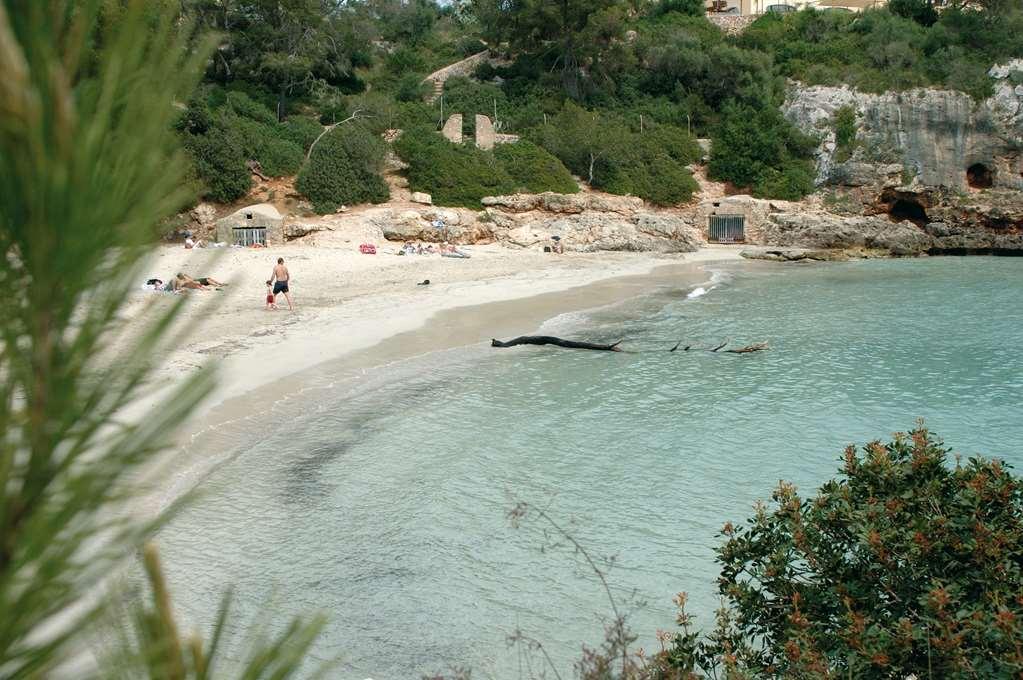 Hotel Barcel Ponent Playa 3*
