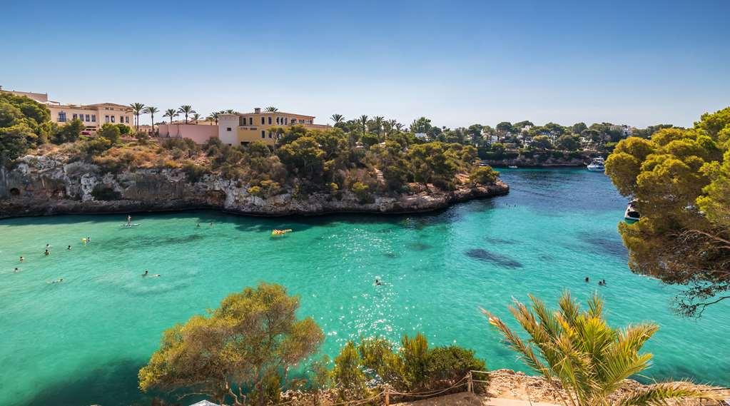 Barcel Ponent Playa
