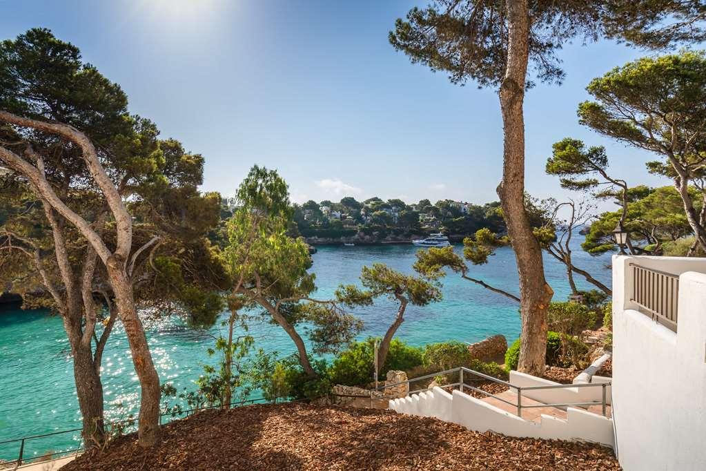 Barcel Ponent Playa Hotel
